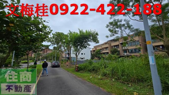 宜蘭農地宜蘭建地壯圍農地