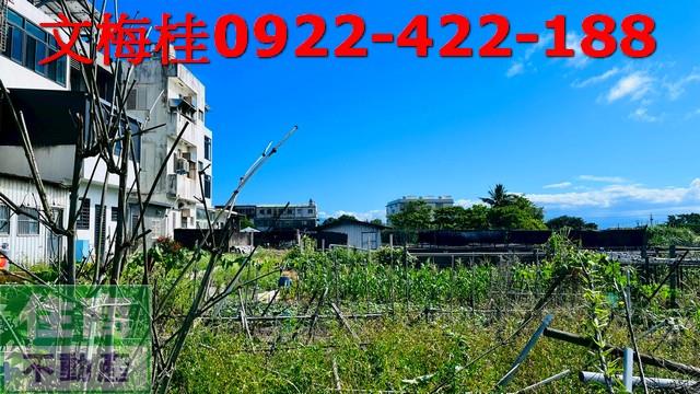 頭城農地-0