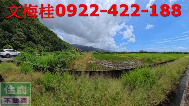 礁溪農地-3
