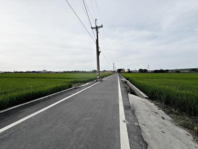 龍井區農地中山段農地