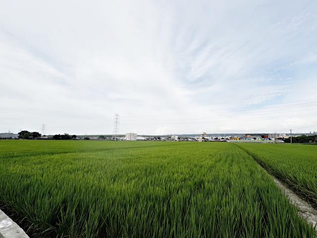 龍井農地-3