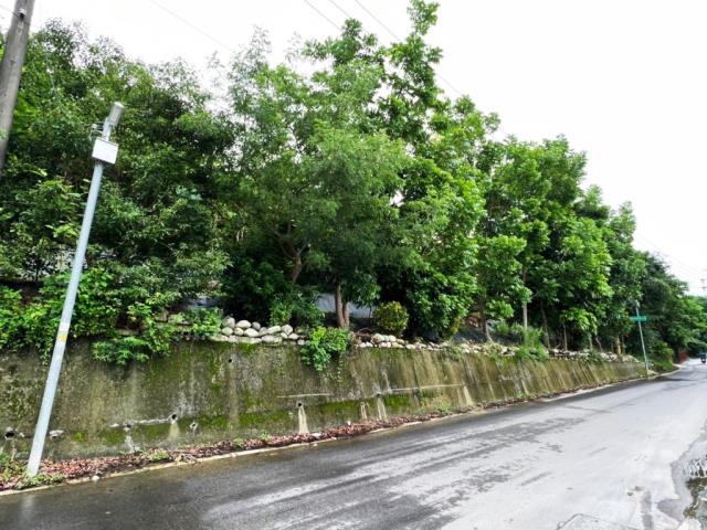 豐原富陽路旁農建地