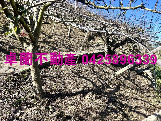 苗栗農地-9