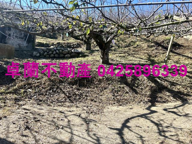 苗栗農地-11