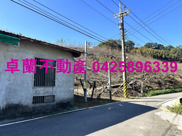 卓蘭西坪梨園