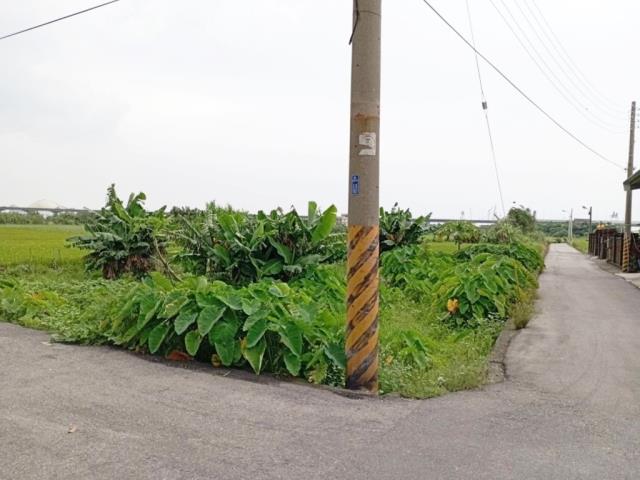 清水方正臨路角地清水區農地高南段