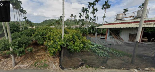 南投縣草屯鎮平學路法拍農地
