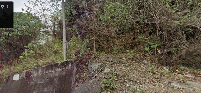 南投縣水里鄉水里路法拍農地