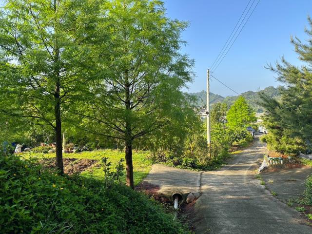 台中東勢農地-5