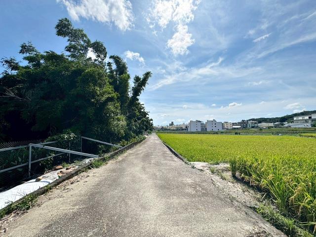 大肚興和段農地