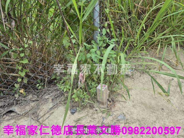 台南農地-10