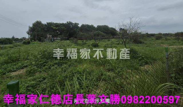 台南農地-7