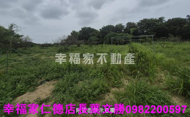台南建地-11