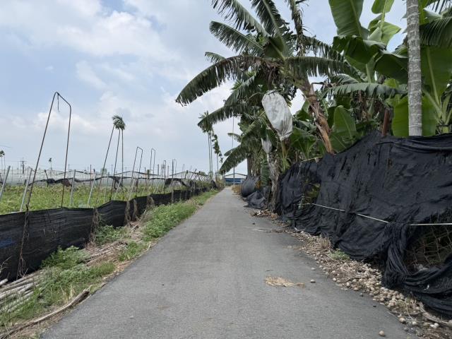 屏東鹽埔農地-2