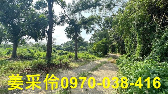 嘉義民雄農地-9