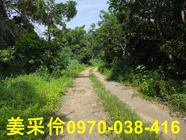 嘉義民雄農地-10