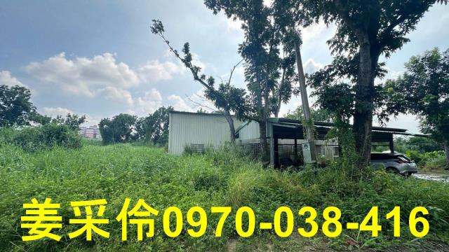 嘉義民雄農地-1