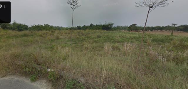 台南市官田區社子里法拍農地林地
