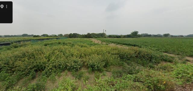 台南市柳營區東昇里法拍農保地