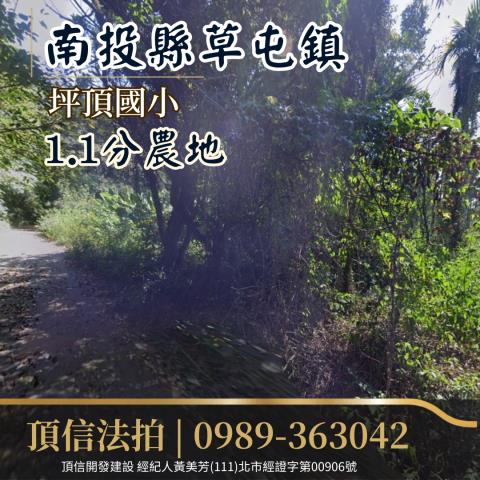 法拍南投草屯坪頂國小11分農地