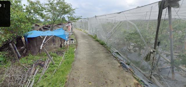 台南市玉井區三埔里法拍農場地