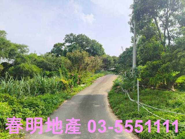 新竹新埔農地-0