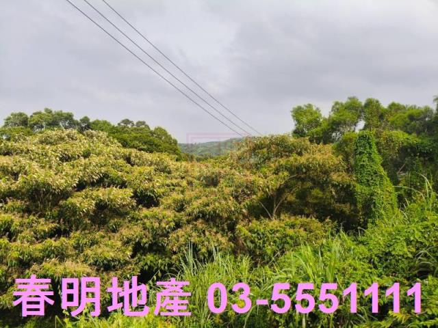 新竹新埔農地-2