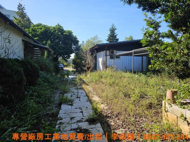 湖口農地-1