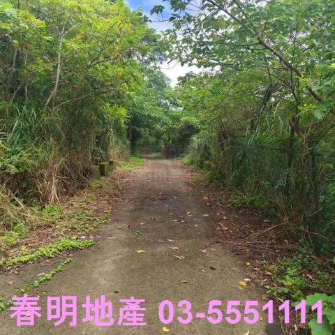 湖口農地-0
