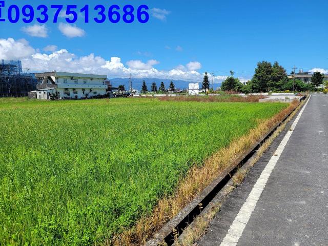 宜蘭縣宜蘭市新張段農地出售