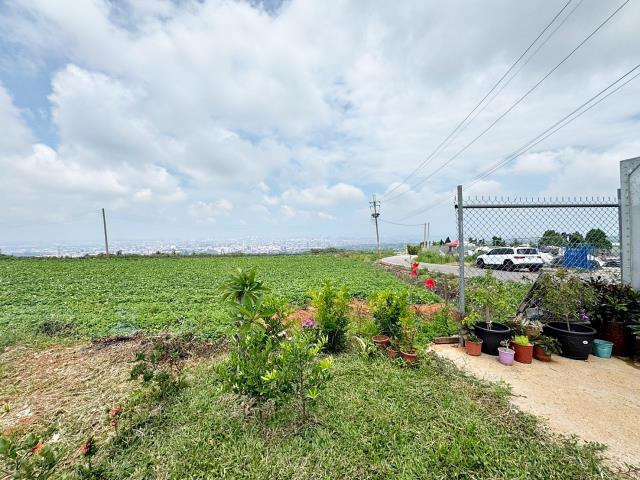 沙鹿區土地沙鹿區保護區都會公園景觀土地