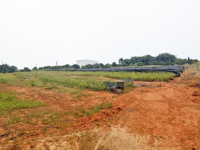 沙鹿區國際機場門戶特區西勢段農地859坪大面積總價4