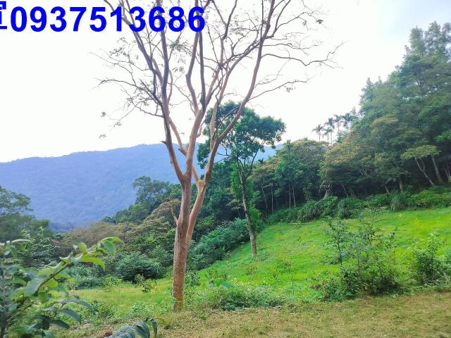 宜蘭礁溪農地-11