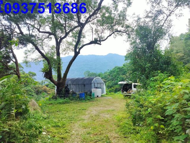 宜蘭礁溪農地-12