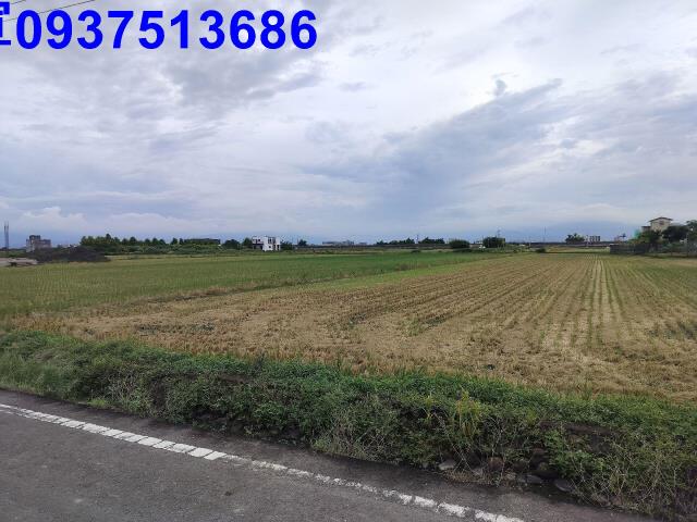 宜蘭壯圍農地-1