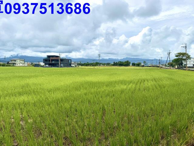 宜蘭縣宜蘭市凱旋二段農地出售