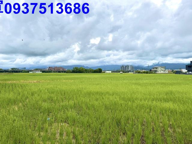 宜蘭宜蘭市農地-1