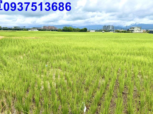 宜蘭宜蘭市農地-3