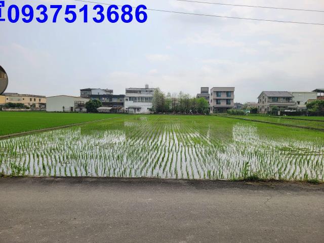 員山農地-1