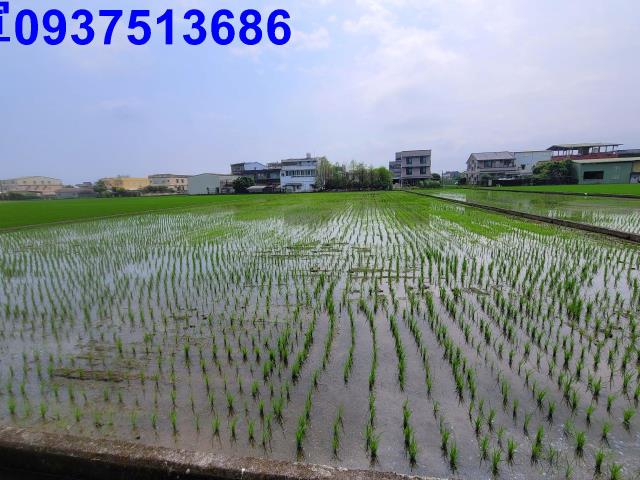 員山農地-5