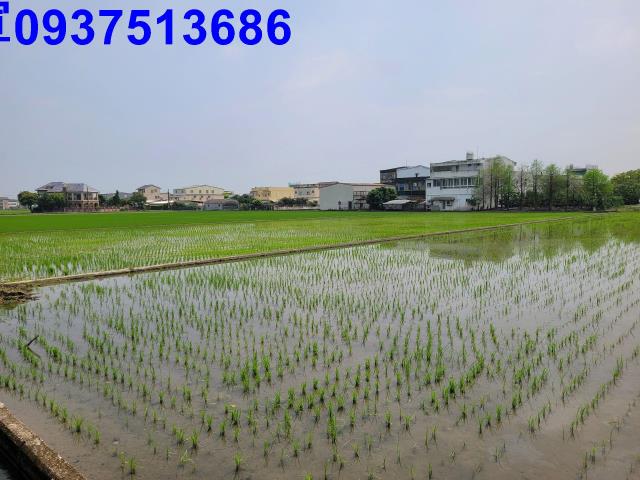員山農地-6