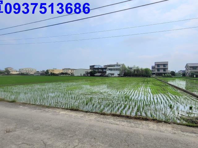 員山農地-9