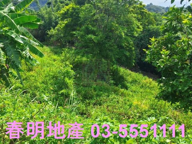 寶山農地-12