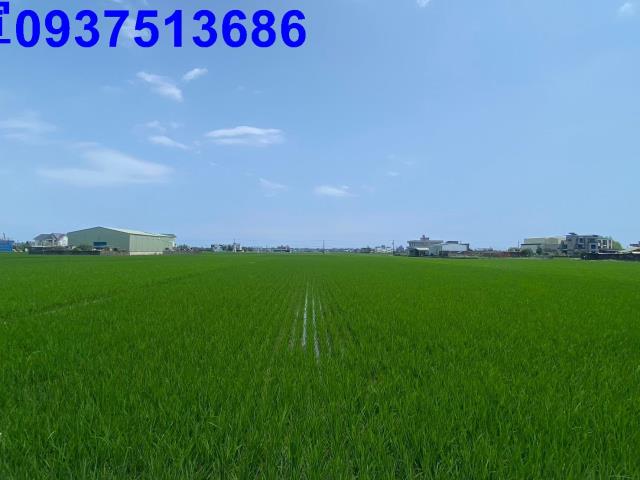 宜蘭農地-3