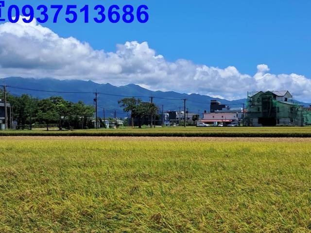 宜蘭農地-4