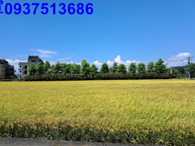 宜蘭農地-5