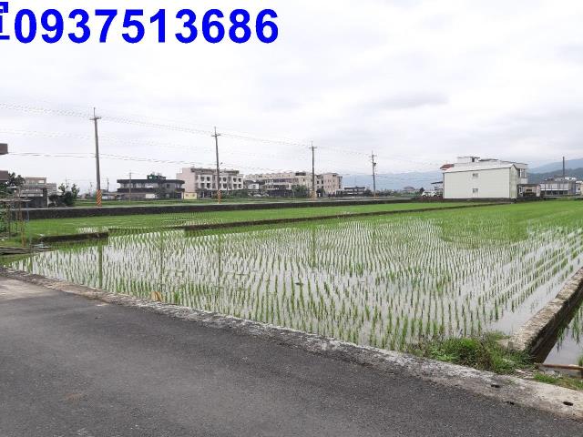 宜蘭礁溪農地-11