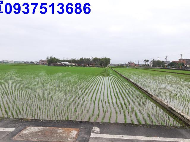 宜蘭礁溪農地-2