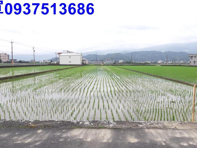 宜蘭礁溪農地-7