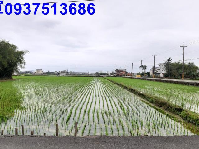 宜蘭礁溪農地-8
